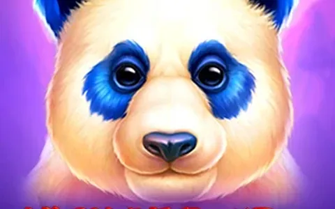 Luck of Panda Bonus Combo